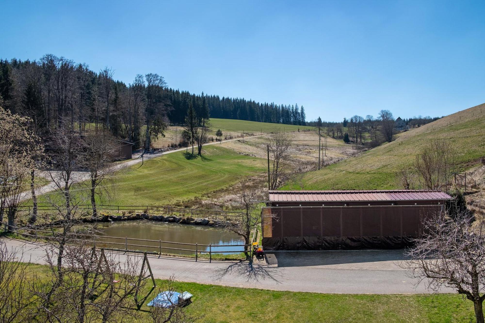 Ferienwohnung Armbruster St. Georgen Exterior foto